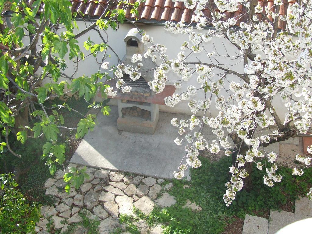Villa Dalmatia Zadar Exterior photo